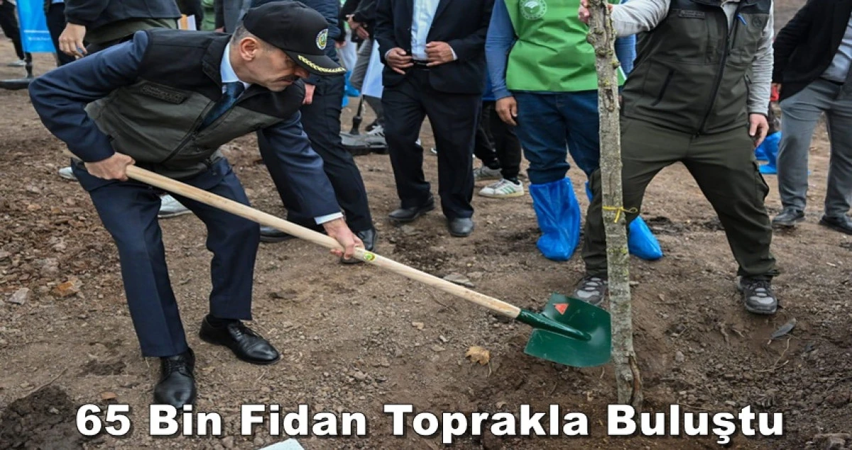 Kocaeli’de 65 Bin Fidan Toprakla Buluştu
