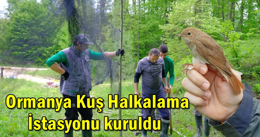 Kuş Halkalama İstasyonu kuruldu